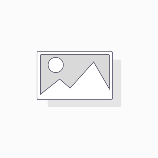 [B2SCAR] Custom Car Decal